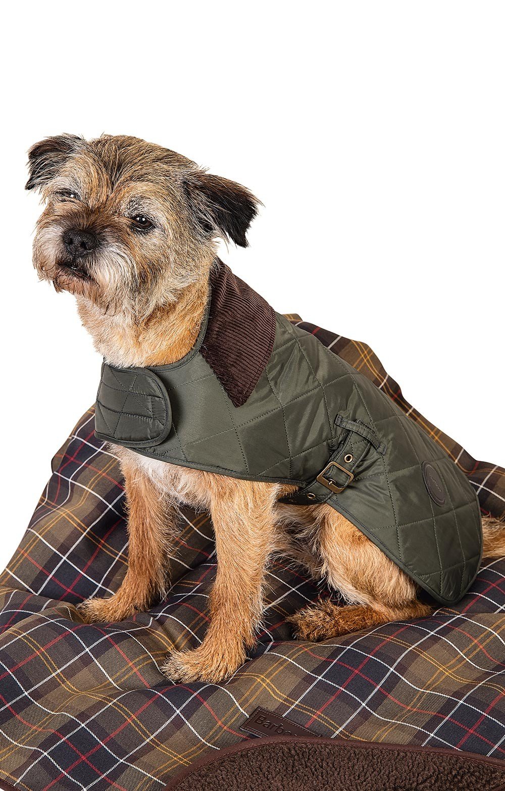 barbour dog wax jacket Cheaper Than 