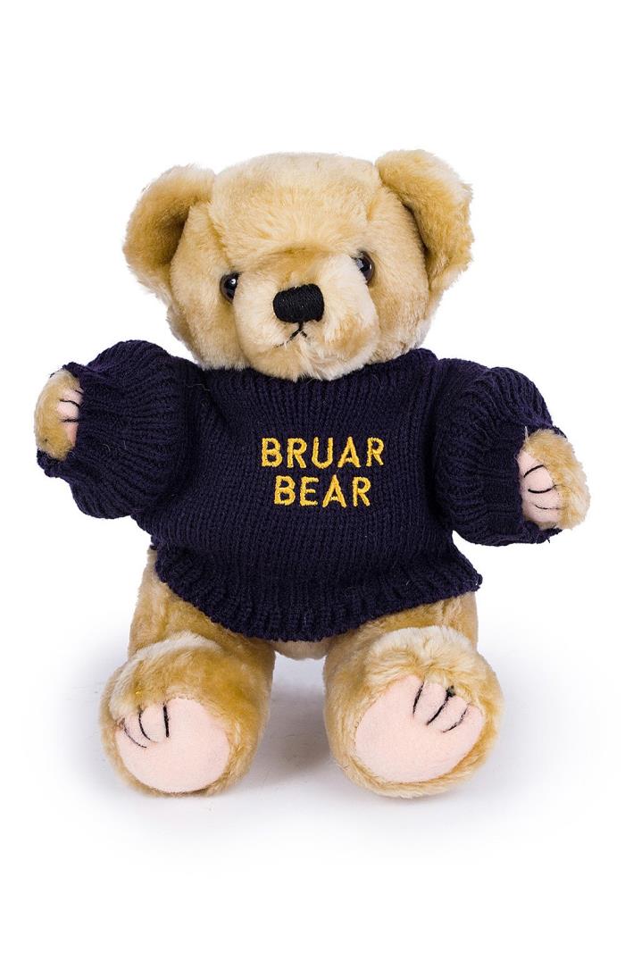 Palace ralph lauren teddy bear brown online