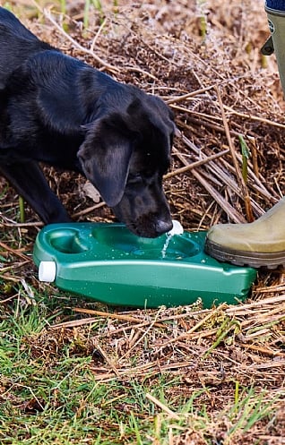 Aqua bowl for on sale dogs