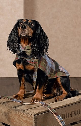 Barbour waterproof tartan dog fashion coat