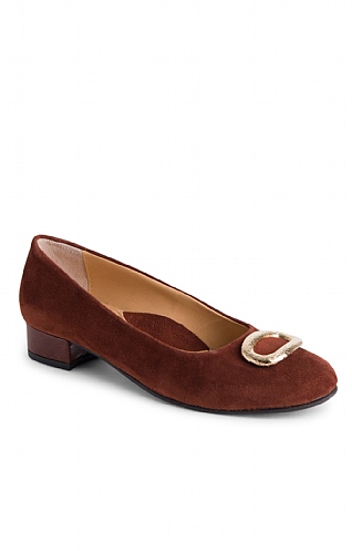 House Of Bruar Ladies Suede Pumps with Gold Buckle, Espresso