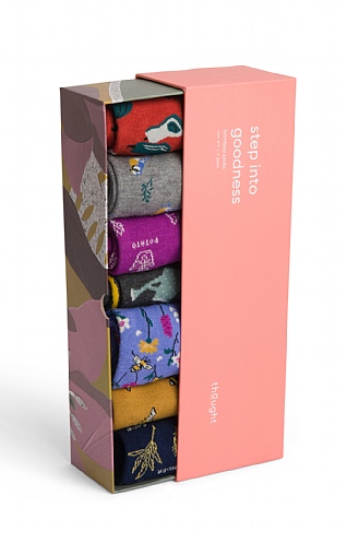 Thought Ladies 7 Pack Sock Box, Ginney Pattern Multi