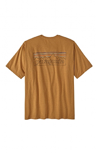 Patagonia ro sun tee online