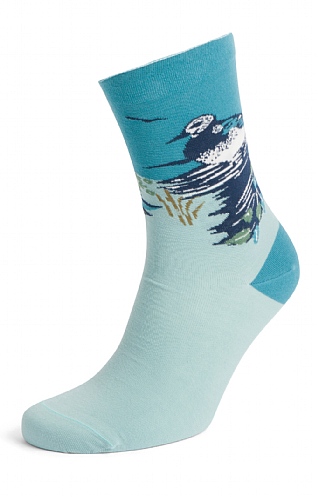 Ladies Seasalt Postcard Socks, Turnstone Scene Limpet